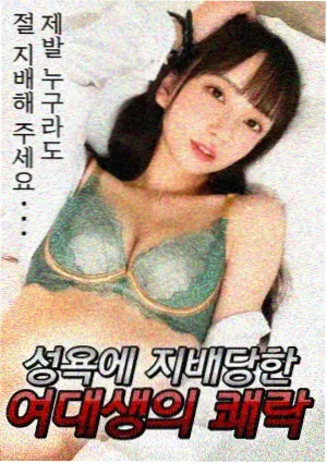 相遇的夏天